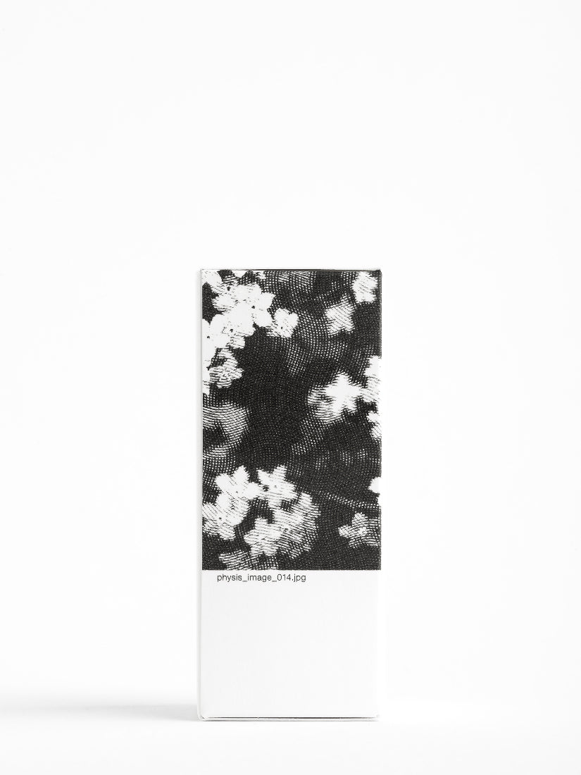 CINNAMON / ΚΑΝΕΛΛΑ